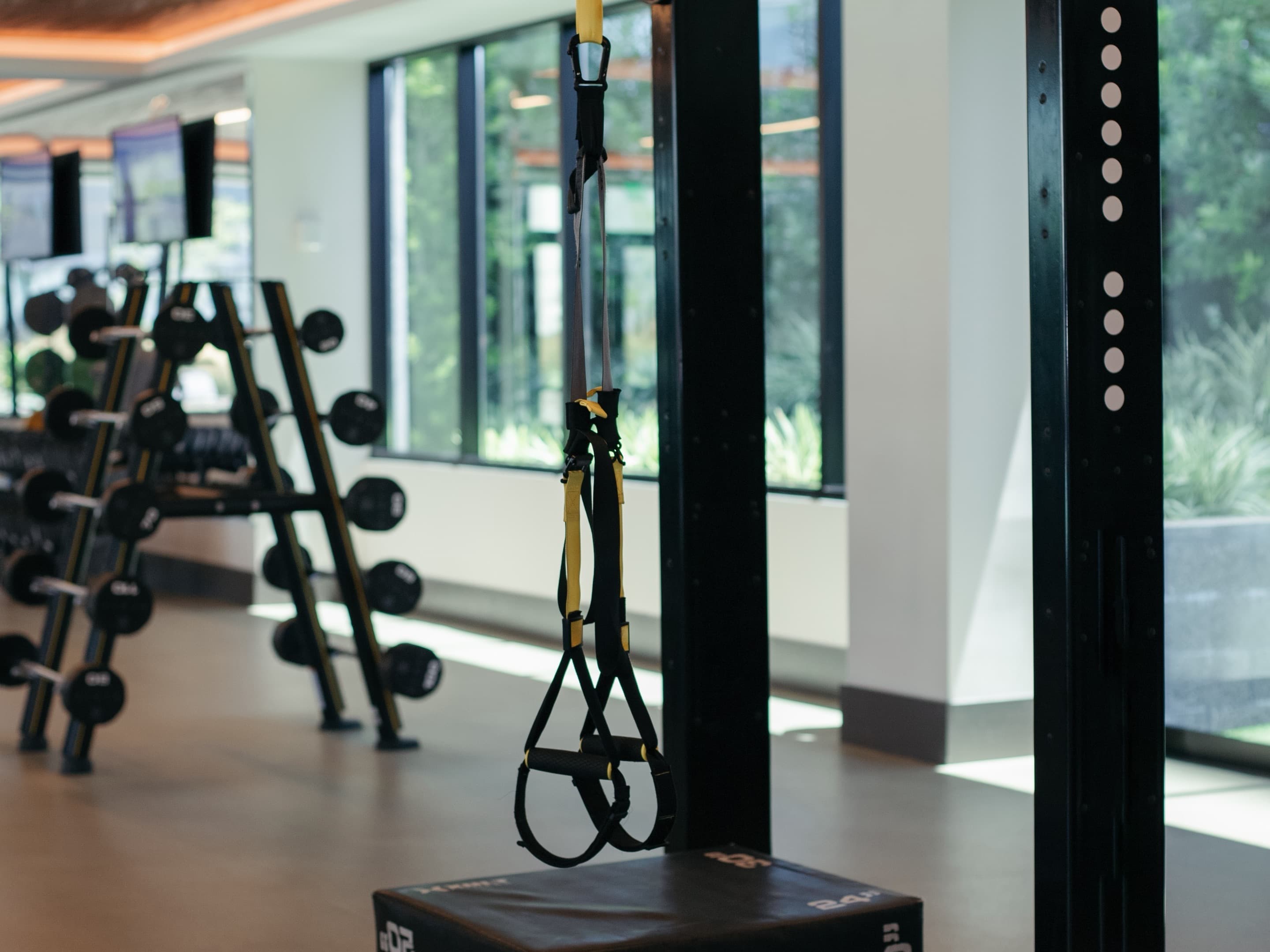 Modern gym interior
